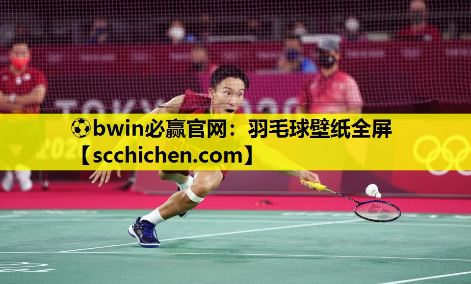 ⚽bwin必赢官网：羽毛球壁纸全屏