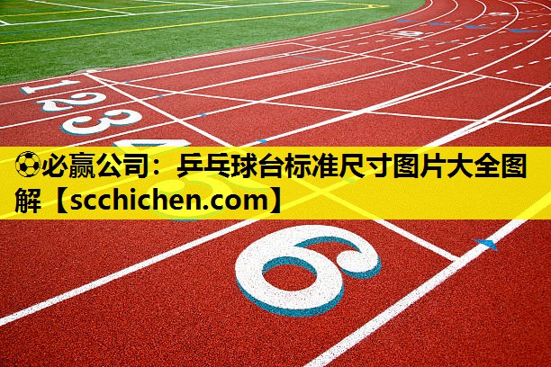 ⚽必赢公司：乒乓球台标准尺寸图片大全图解
