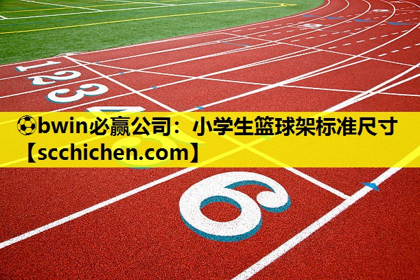 ⚽bwin必赢公司：小学生篮球架标准尺寸
