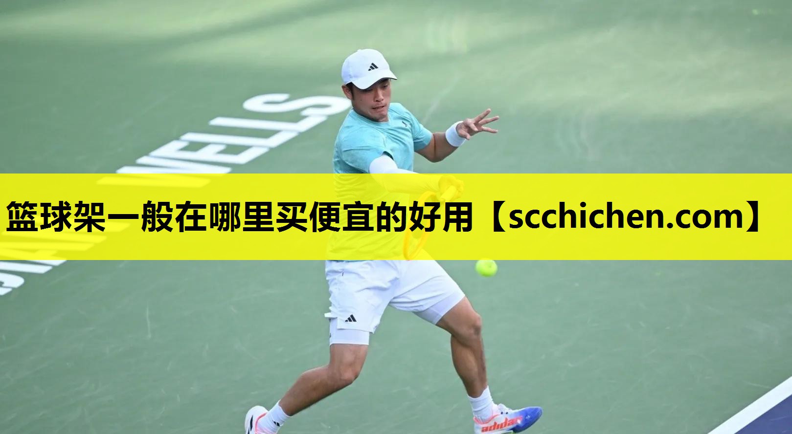 篮球架一般在哪里买便宜的好用