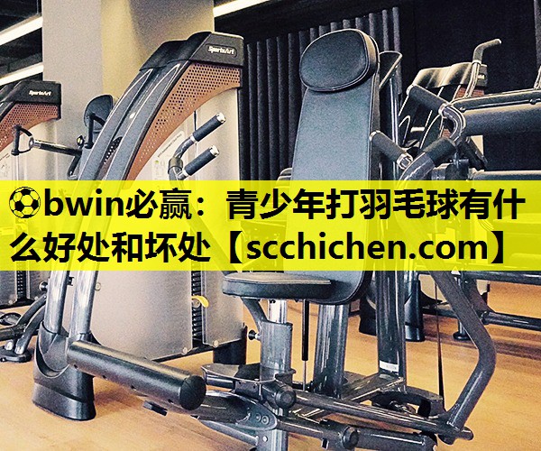 ⚽bwin必赢：青少年打羽毛球有什么好处和坏处