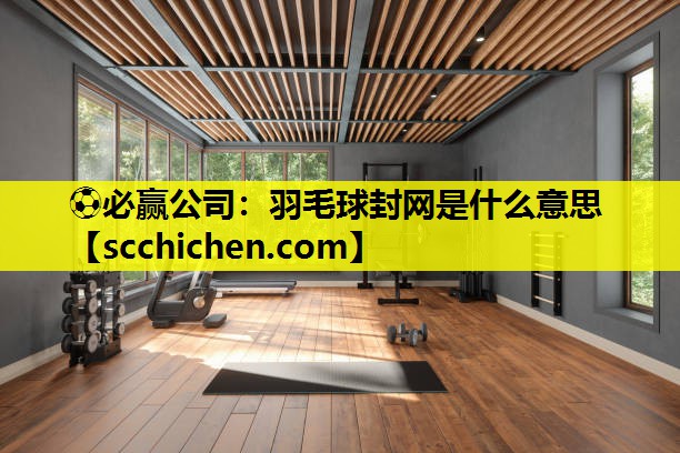 ⚽必赢公司：羽毛球封网是什么意思