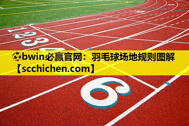 ⚽bwin必赢官网：羽毛球场地规则图解