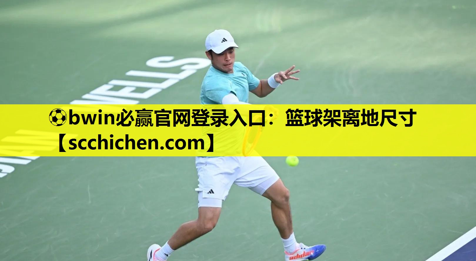 ⚽bwin必赢官网登录入口：篮球架离地尺寸