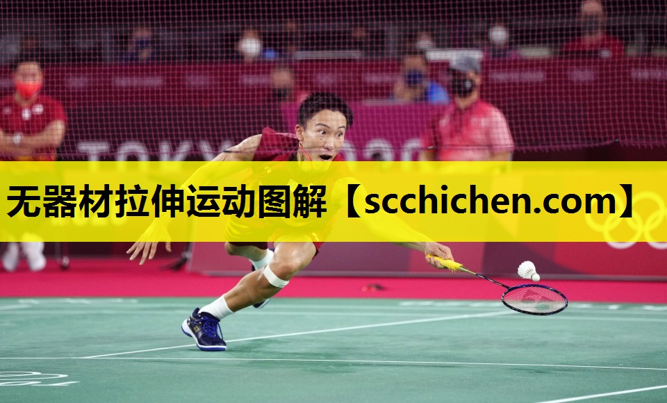 无器材拉伸运动图解