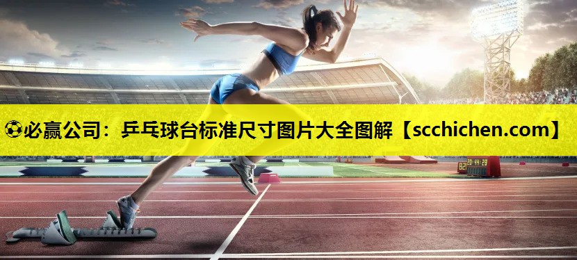 乒乓球台标准尺寸图片大全图解