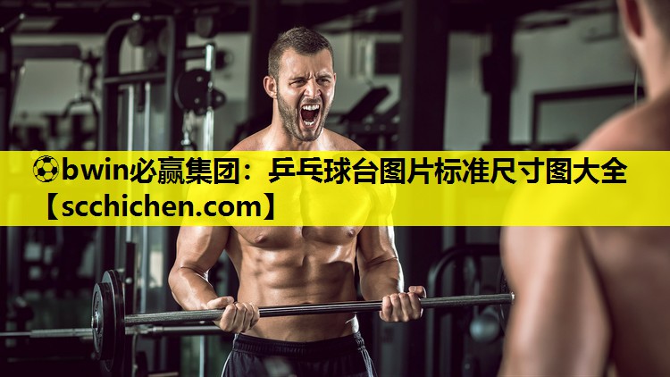 乒乓球台图片标准尺寸图大全