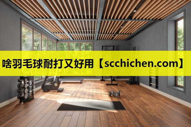 啥羽毛球耐打又好用