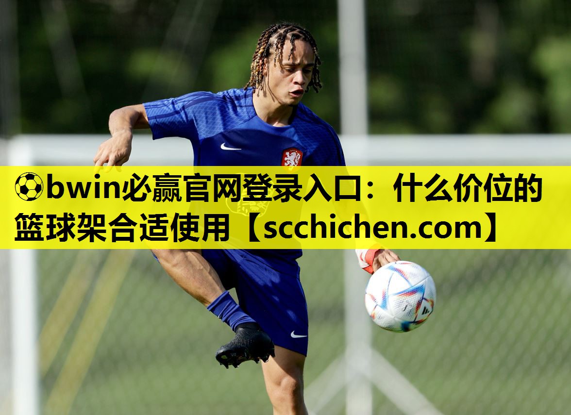 什么价位的篮球架合适使用