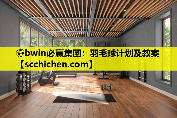 羽毛球计划及教案