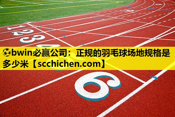 正规的羽毛球场地规格是多少米