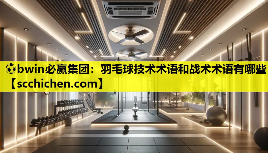 羽毛球技术术语和战术术语有哪些