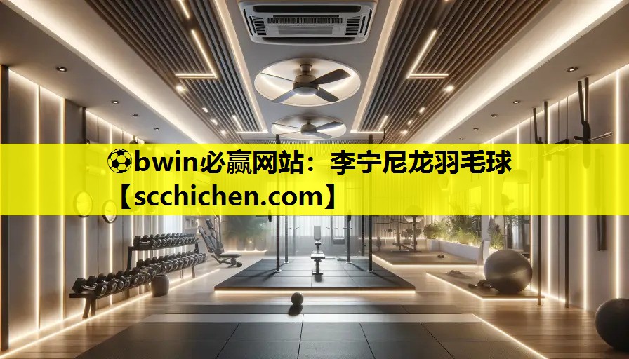 李宁尼龙羽毛球