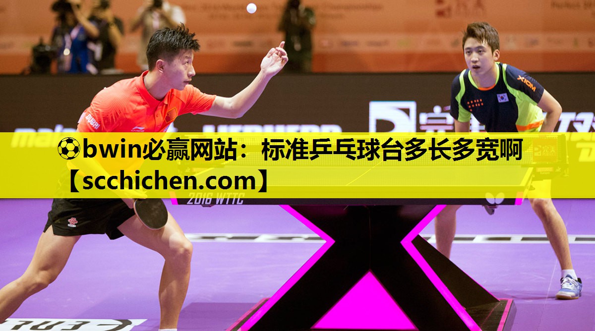 标准乒乓球台多长多宽啊