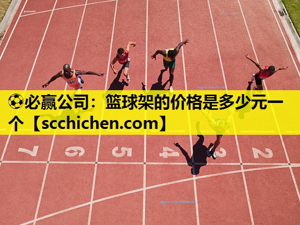 篮球架的价格是多少元一个