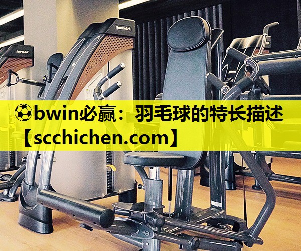 羽毛球的特长描述